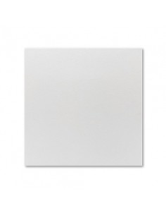 BLANCO PLUS LISO 35X35 1º...