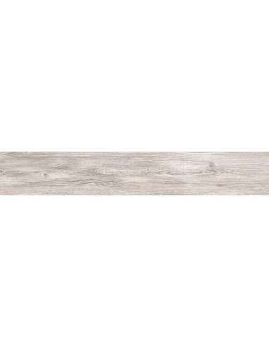 PORCELANATO FOSSIL 2Â° 20 X 120 (1,19M2 POR CAJA) TENDENZA