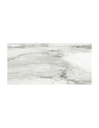 VENATO BLACK 120X240 SPL PULIDO 1º...