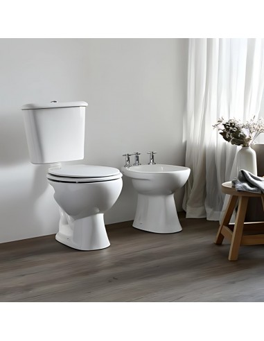 INODORO CORTO ANDINA 6,0 LTS FERRUM