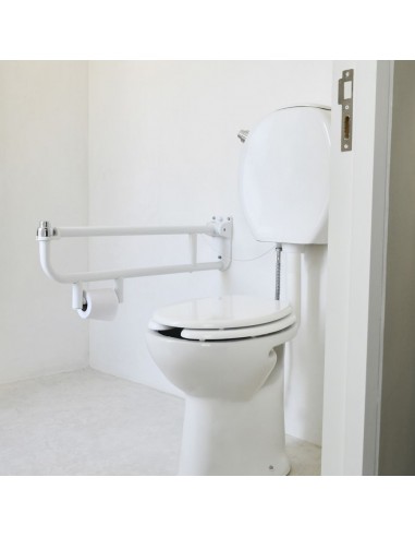 Inodoro corto Espacio FERRUM