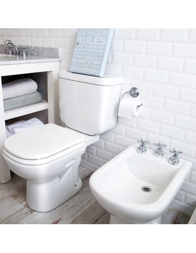 INODORO BARI LARGO M FERRUM