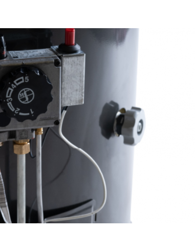 Termotanque a Gas Natural Confort 160...