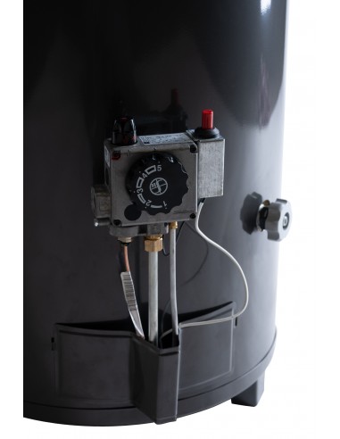 Termotanque a Gas Natural Confort 160...