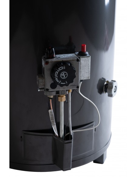 Termotanque a Gas Natural Confort 160 litros de pie - Alta Potencia Rheem