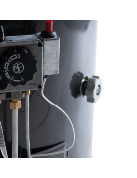 Termotanque a Gas Performance 80 litros de colgar - Rheem