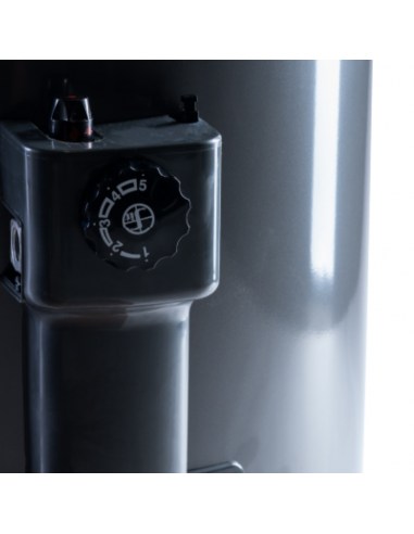 Termotanque a Gas Performance 80...