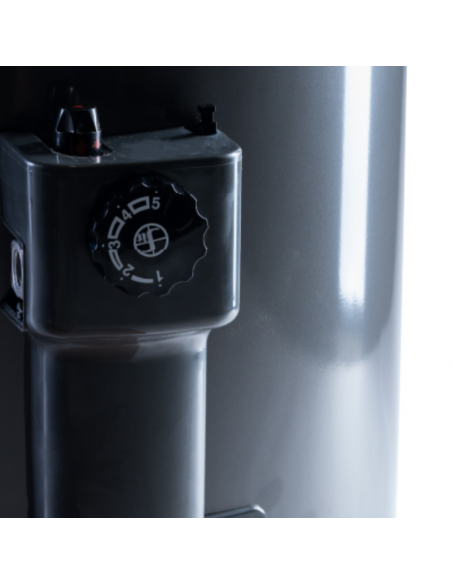 Termotanque a Gas Performance 80 litros de colgar - Rheem