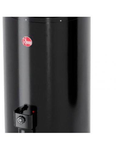 Termotanque a Gas Performance 80...