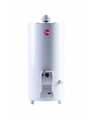 TERMOTANQUE A GAS FUNCTIONAL DE PIE 80LT